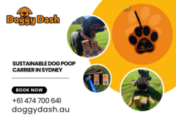 Sustainable Dog Poop Carrier In Sydney