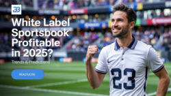 Is a White Label Sportsbook Profitable in 2025? Trends & Predictions