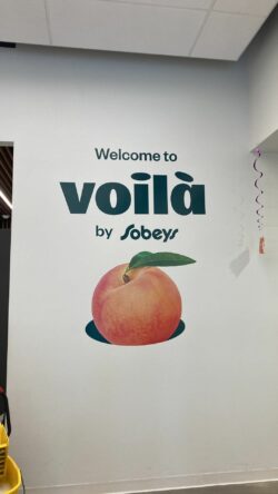 3D Wall Murals in Mississauga – Custom Designs by SSK Signs