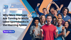 Why Startups Are Choosing White Label Sportsbooks to Enter the iGaming Market
