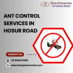 Ant Control Services in Hosur Road | Protect Your Home