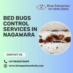 Bed Bugs Control Services in Nagawara | Guaranteed Results