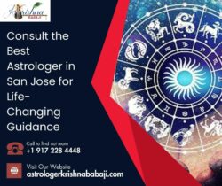 Consult the Best Astrologer in San Jose for Life-Changing Guidance