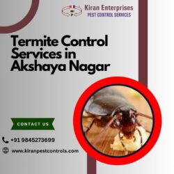 Termite Control Services in Akshaya Nagar | Safe & Effective Solutions