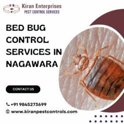 Bed Bugs Control Services in Nagawara | Guaranteed Results
