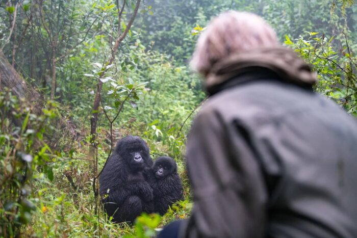 7 Days Gorilla Tracking Rwanda and Zanzibar Beach Holiday