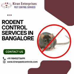 Hydraulic Industrial Lift Bangalore-Hydraulic Industrial Lift Manufacturers