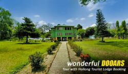 Dooars Tour Package from NJP: Scenic Beauty, Tea Gardens, and Riverside Stays