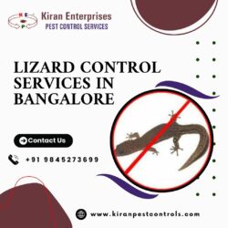 Lizard Control Services in Bangalore | Expert Pest Control