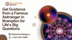 Get Guidance from a Famous Astrologer in Brampton for Life’s Big Questions