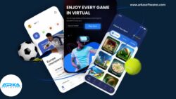 ARKA Softwares – Fantasy Sports App Development Services