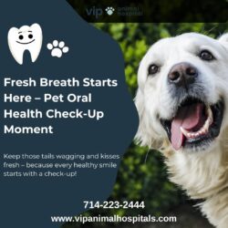 VIP Animal Hospital – Pet Oral Health Check-Up for Happy, Healthy Smiles