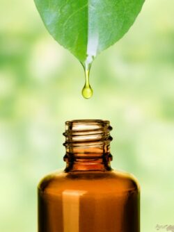 Effective and Natural Healing with Homeopathy Medicine Sydney