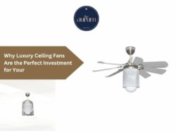 How Luxury Ceiling Fans Enhance Indoor Air Quality and Comfort