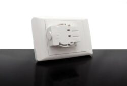 Starter Plate – Single