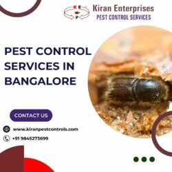 Pest Control Services in Bangalore | Safe & Effective Solutions
