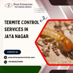 Termite Control Services in Jaya Nagar | Safe & Effective Solutions