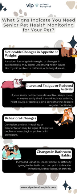 Expert Senior Pet Health Monitoring by VIP Animal Hospital