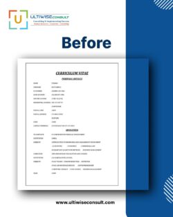 Professional Resume Writing Service Online to Land Your Dream Job