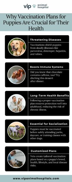 Tailored Vaccination Plans for Puppies Now Available at VIP Animal Hospital