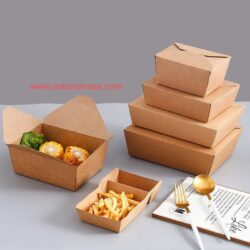 Soton’s Sustainable Disposable Kraft Box Coatings