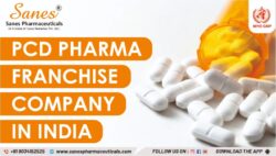PCD Pharma Franchise Company in India