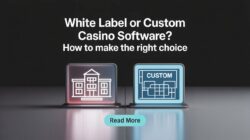 White Label vs. Custom Casino Software: Which Option Suits Your Business?
