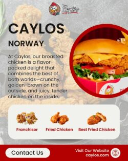 Partner with Caylo’s as a Leading Franchisor | Caylos.com