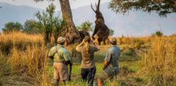 Best Budget Activities to Do on Tanzania Safari
