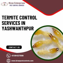 Termite Control Services in Yashwanthpur | Safe & Effective Solutions