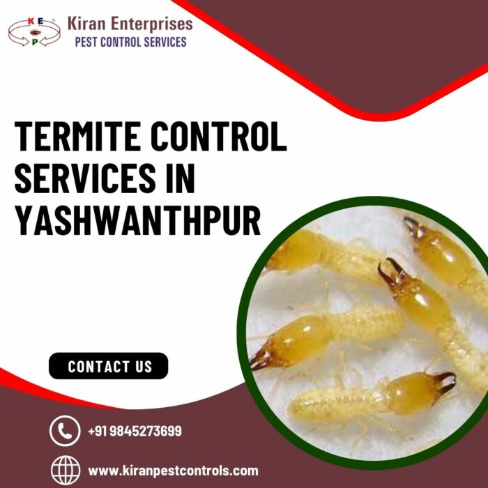 Termite Control Services in Yashwanthpur | Safe & Effective Solutions