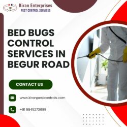 Bed Bugs Control Services in Begur Road | Guaranteed Results