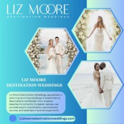 Cabo San Lucas Weddings – Plan Your Dream Wedding