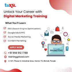 Digital Marketing Training In Mohali