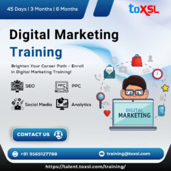 Digital Marketing Training in Mohali