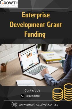 Empower Your Business with EDG Funding – Growth Catalyst Singapore