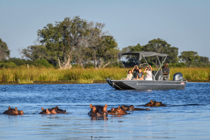 Famous Okavango Delta The Top Adventures in Botswana