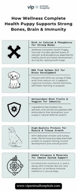 VIP Animal Hospital Endorses Wellness Complete Health Puppy for Brain, Bone & Immune Support