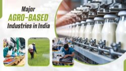 Agro-based industries in India