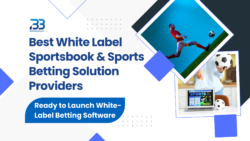 White Label Sportsbook & Sports Betting Solution Providers in 2025