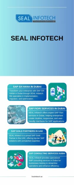 Expert Digital Strategy and Planning Services in Dubai – SEAL Infotech