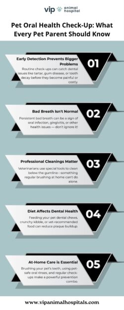 VIP Animal Hospital Offers Trusted Pet Oral Health Check-Up Services