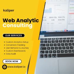 Web Analytic Consulting Tailored for High-Growth Businesses