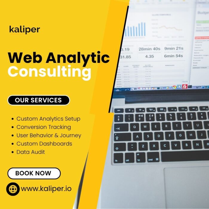 Web Analytic Consulting Tailored for High-Growth Businesses