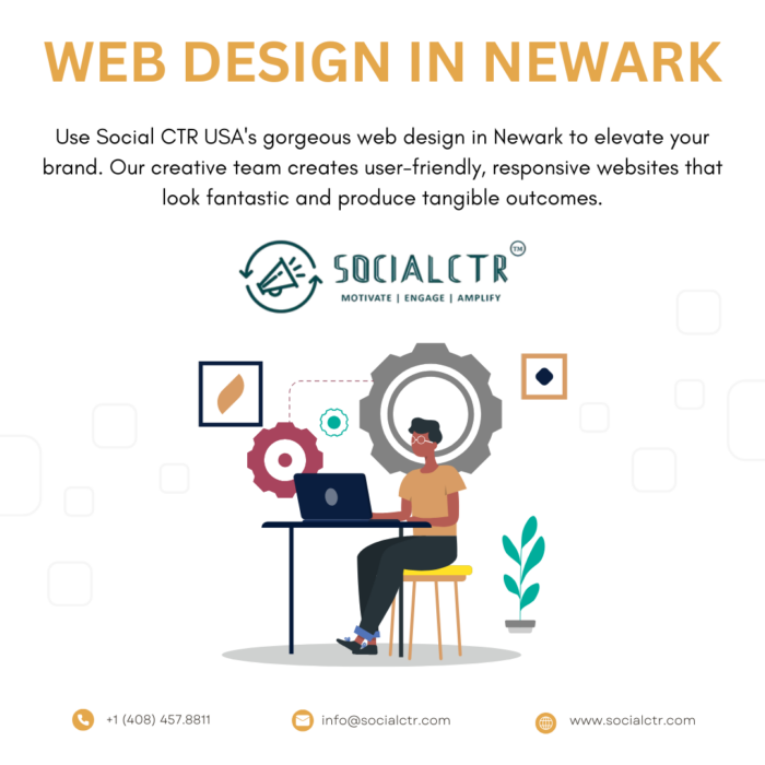 Get Expert Web Design in Newark by SocialCTR USA
