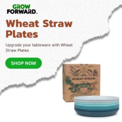 Wheat Straw Plates