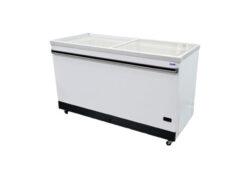Commercial Ice Cream Freezer | Frozen Treat Display Case – Celco