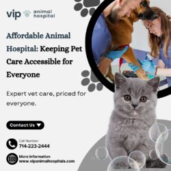 Experience quality and care at an affordable animal hospital – VIP Animal Hospital