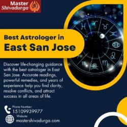Best Astrologer in East San Jose