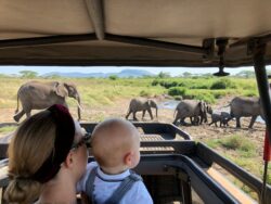 Best Attractions to See on Tanzania Safari